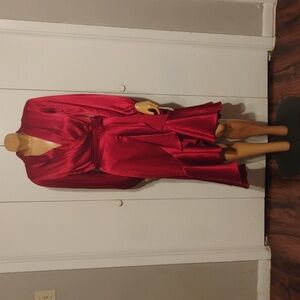 💃🏻⚜️Scarlet Red Dress